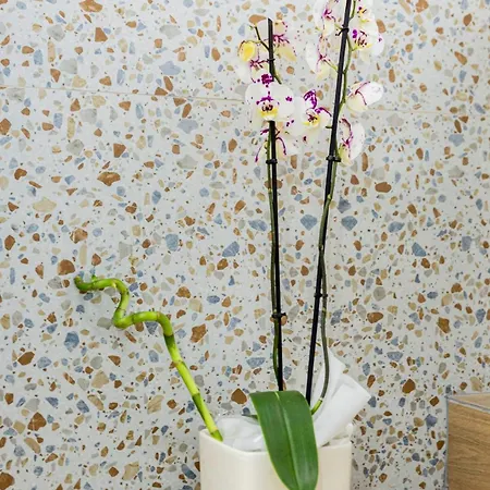 Comfy&stylish In Apartman *